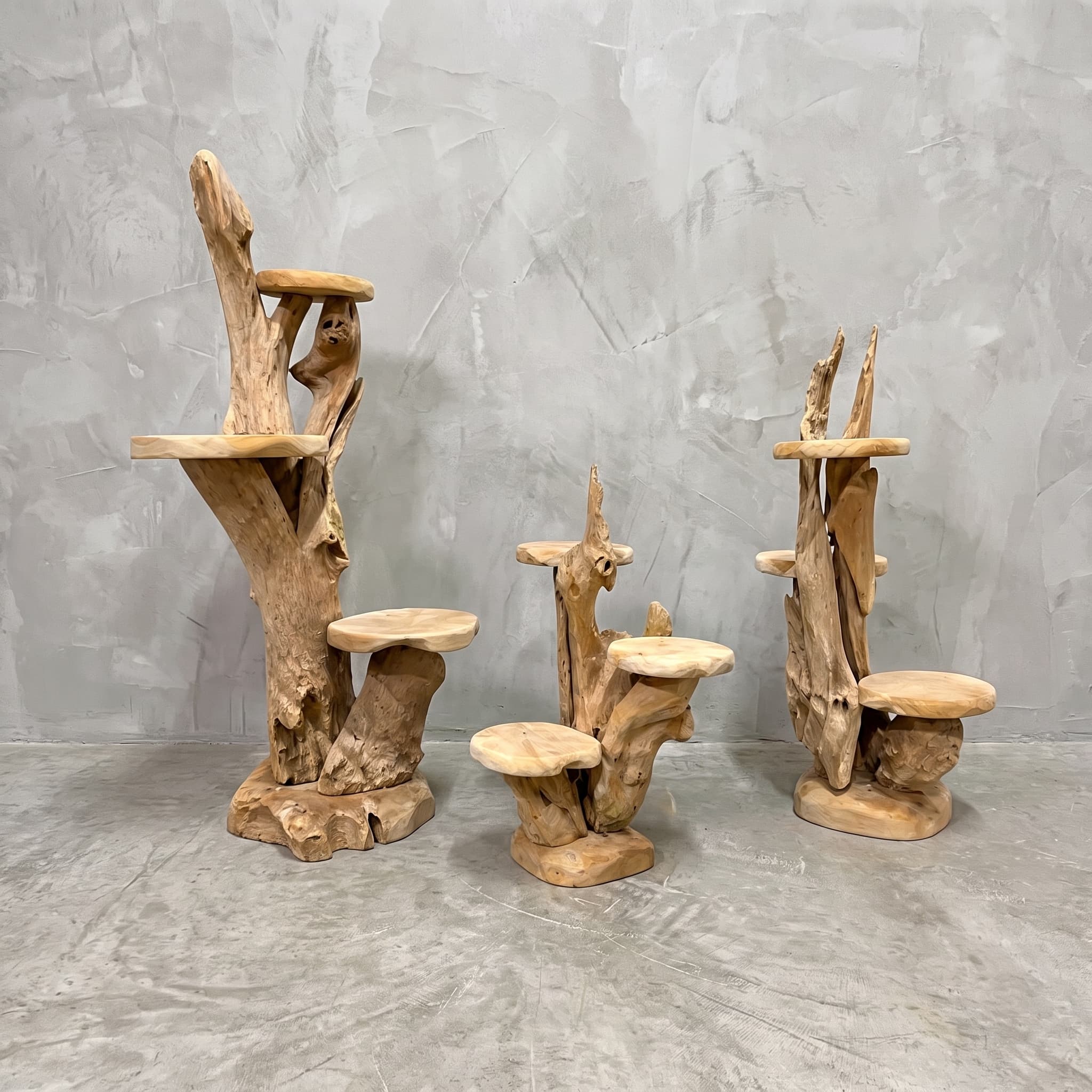 Display Roots Nurali van wortelhout, wortelstandaards van verschillende hoogte naast elkaar, elk met ronde houten plateaus