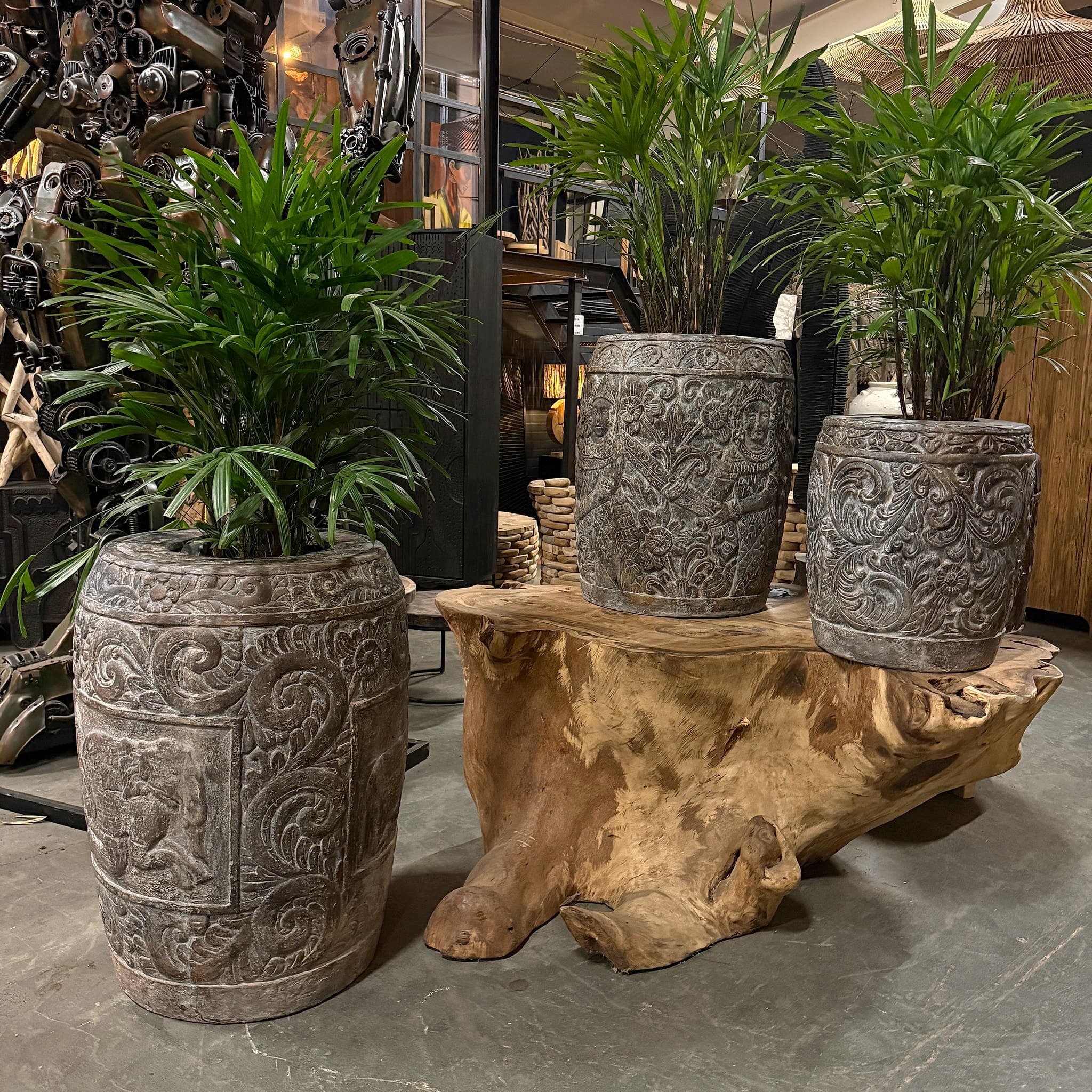 Pot Ukir van polystone in maat 100 cm samen met de maten 60 en 85 cm, met palmen, twee op een houten bank, in een showroom