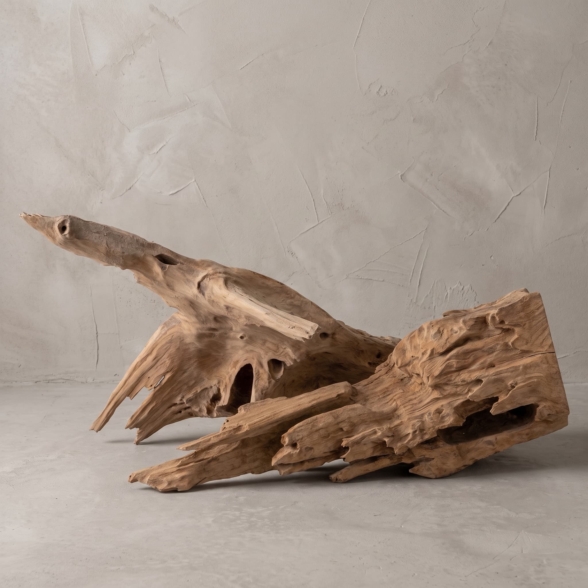 Decoratie Roots van wortelhout, vooraanzicht van een grillig stuk met groeven en gaten naast een tweede stuk wortelhout